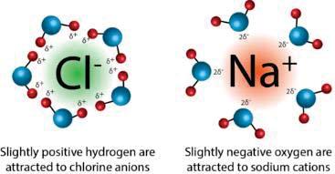 Intermolecular forces Ion-dipole forces These types of interactions account in part for the solubility of ionic crystalline substances in water; the cation, for example,