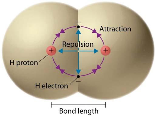 Repulsive and Attractive Forces When two atoms or molecules are brought closer together, the opposite charges and binding forces in the two molecules are closer together than the