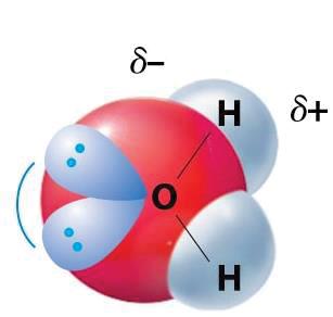 molecule increases. Keesom forces are much weaker than ionic bonds because the charges involved in bonding are partial.
