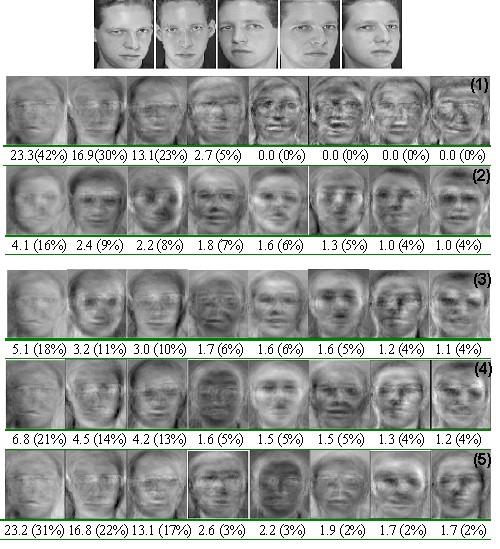 Visual Analysis The top row shows the 5 image training examples of a subject and the subsequent rows show the image eigenvectors (with the corresponding eigenvalues below) of the following covariance