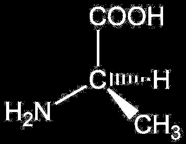 (6 points) Model #1 of Thr S Model #2 of Thr R (b) The amino acid threonine has the structure H 2 N CH(CH(CH 3 ) OH) CO 2 H and contains a chiral alpha-c.