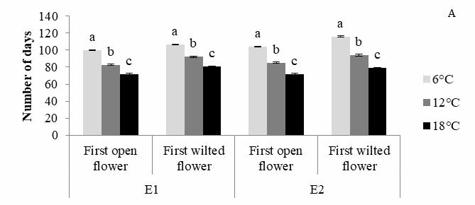 C Fig. 1. Effect of night temperature on flowering of Kalanchoë prittwitzii observed in experiment 1 (E1) and 2 (E2).