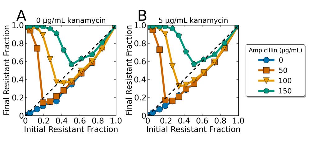 Supplementary Figure 23: Addition of 5 µg/ml kanamycin does not significantly affect the evolutionary dynamics.