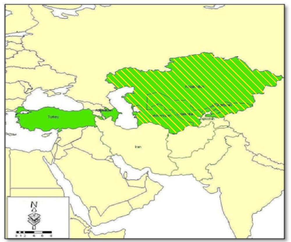 60 Geopolitics Quarterly, Volume: 10, No 4, Winter 2015 Geopolitical regions Southwest Asia Cultural District Turanian: Turanian region, including Kazakhstan, Kyrgyzstan, Uzbekistan, Turkmenistan,