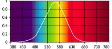 Eye sensitivity Photosynthesis related efficiency Plants are sensitive to a similar portion of the light spectrum as the human eye (400-700nm).