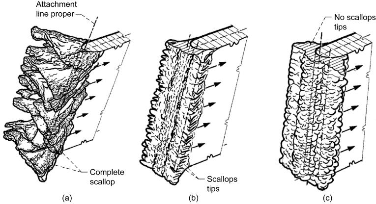 The type that forms has been found to be dependent on sweep angle and icing conditions. 4 Based on the aerodynamic classification system proposed here, the ice accretions in Fig.