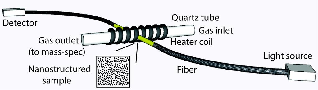 On the backside of the quartz tube, light transmitted through the reactor and sample is collected using another optical fiber.
