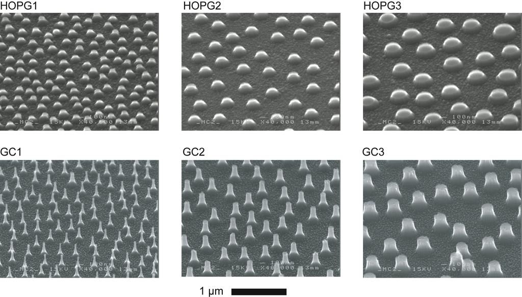 7.1.2 Paper II. Patterning of highly oriented pyrolytic graphite and glassy carbon surfaces by nanolithography and oxygen plasma etching.