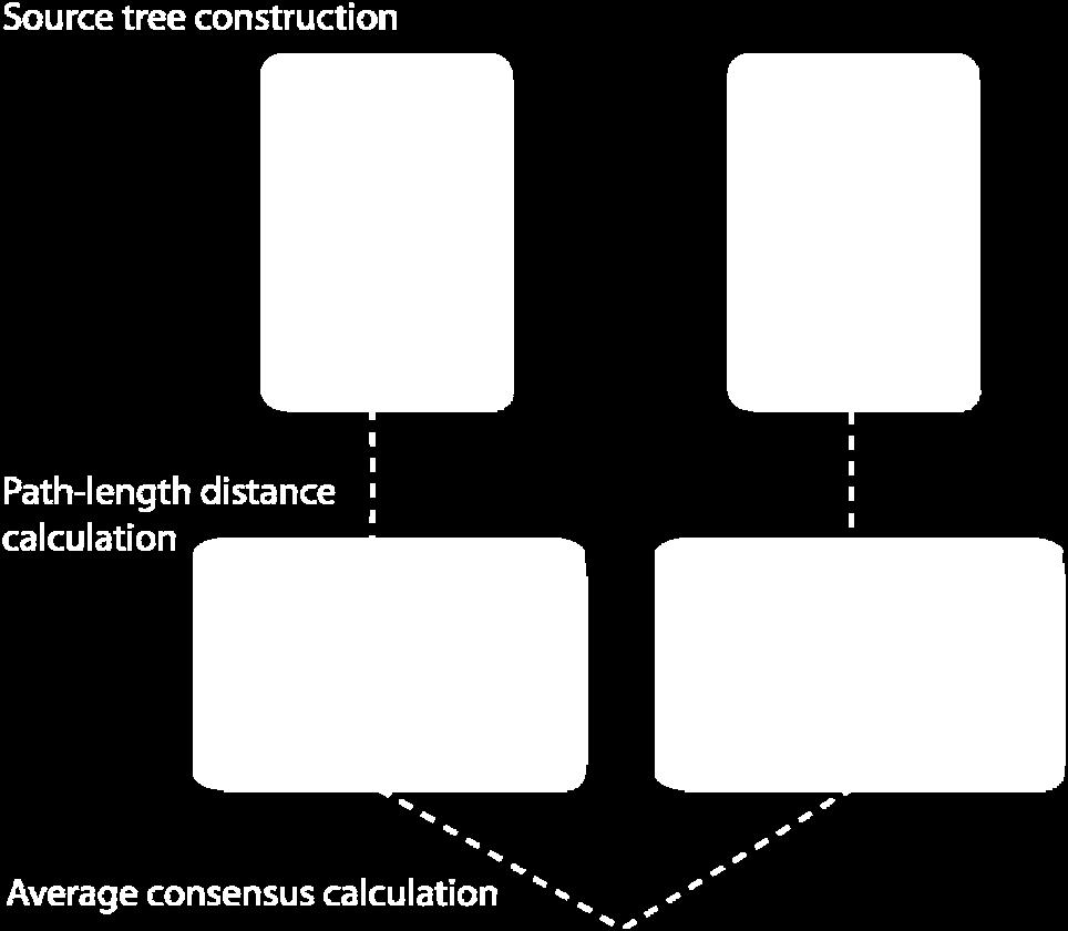 2 + 0.1 + 0.3). The average distance each taxon to every other taxon is then calculated for the average consensus. For example: the distance from taxon A to taxon C in the two source trees are 0.