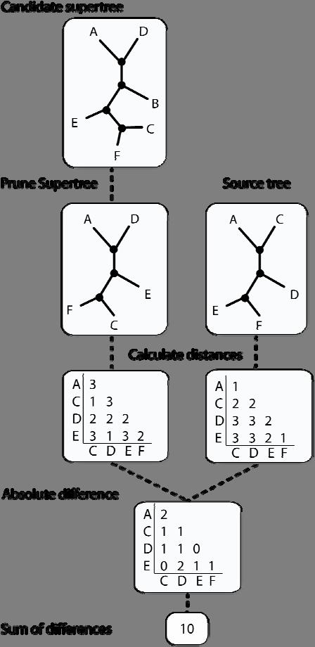 Figure 3 Most Similar Supertree Algorithm (MSSA). In this approach, a function is used to assess candidate supertrees.