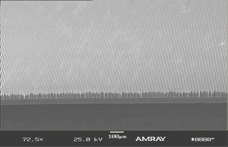 Channels 5 µm