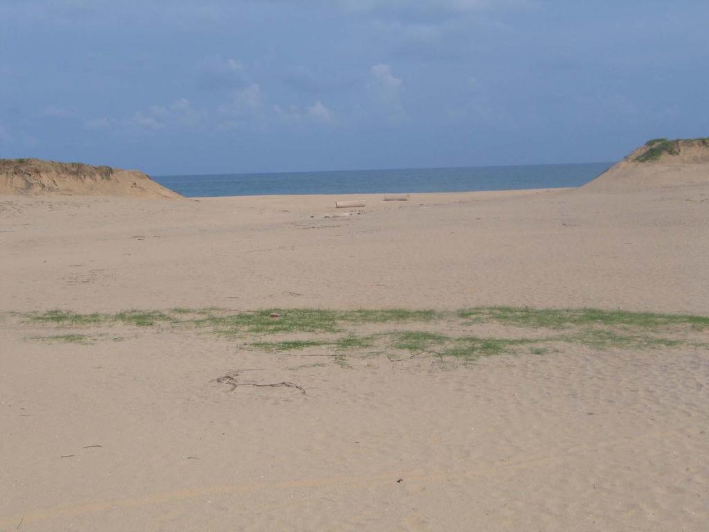 Panama Sand Dunes Safe crest level?