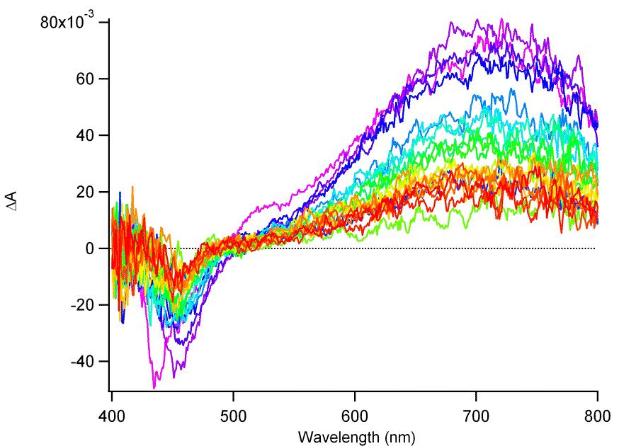 ns-ta of HQ in MCH (bis semiquinone radial formation) + kinetics and of model systems The transient absorption spectra (figure S6) of the hemiquinone (HQ) and of the C-Q mixture show different