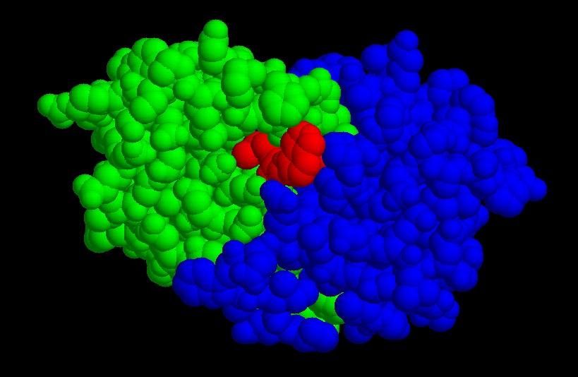 2. Enzyme inhibitors based on transition-state analogs. By Baldwin et al., 1995 Green & blue represent the A & B subunits of HIV protease.