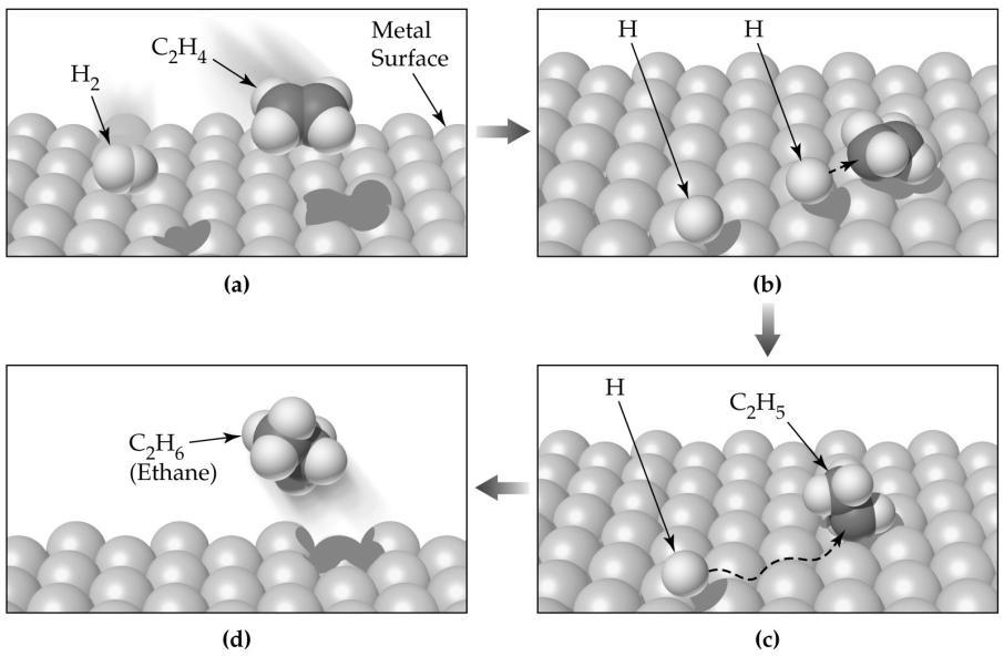 Catalyst speeds up a reaction by lowering the activation energy. Proposed mechanism for the catalytic hydrogenation of ethylene (C 2 H 4 ) on a metal surface.
