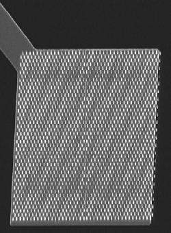 nanoelectrode array. The insets on the right represent applications in DNA (top) and antigen detection (bottom).