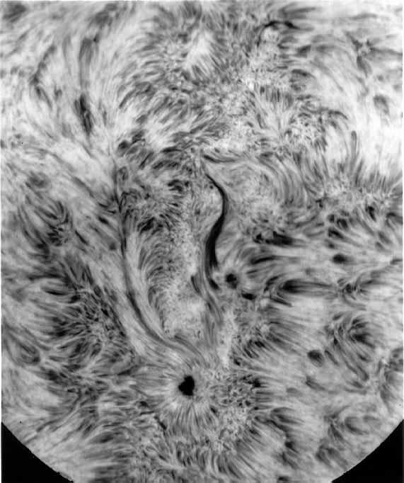 The letter symbols indicate the following: S, sunspot; P, plage; pl, plagette; F, filament; FC, filament channel; EN, enhanced network cell. Signs are appended to indicate the magnetic polarities.