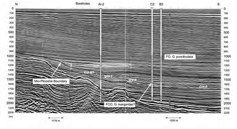 During the Messinian a significant tectonic elevation, especially in the eastern and southern margins of the basin, caused a profound incision that can be easily recognized in the seismic profiles