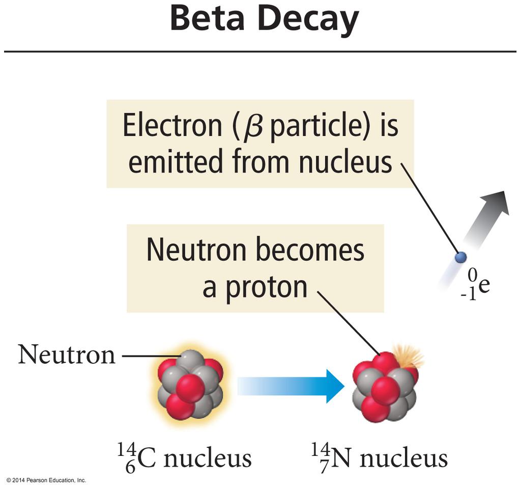 Beta Decay Occurs when an unstable nucleus emits an electron, turning a neutron into a proton.