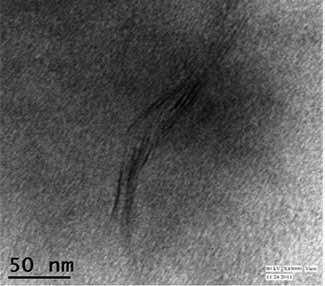 P. Bharadwaj, Pratibha Singh, K.N. Pandey, Vishal Verma, and S.K. Srivastava (a) (b) (c) Figure 9. TEM micrograph SBR/nanoclay nanocomposites.