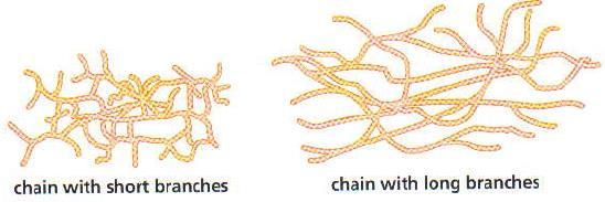 If the propagating site removes a hydrogen atom from the polymer chain, a branch can grow off the chain at that point.