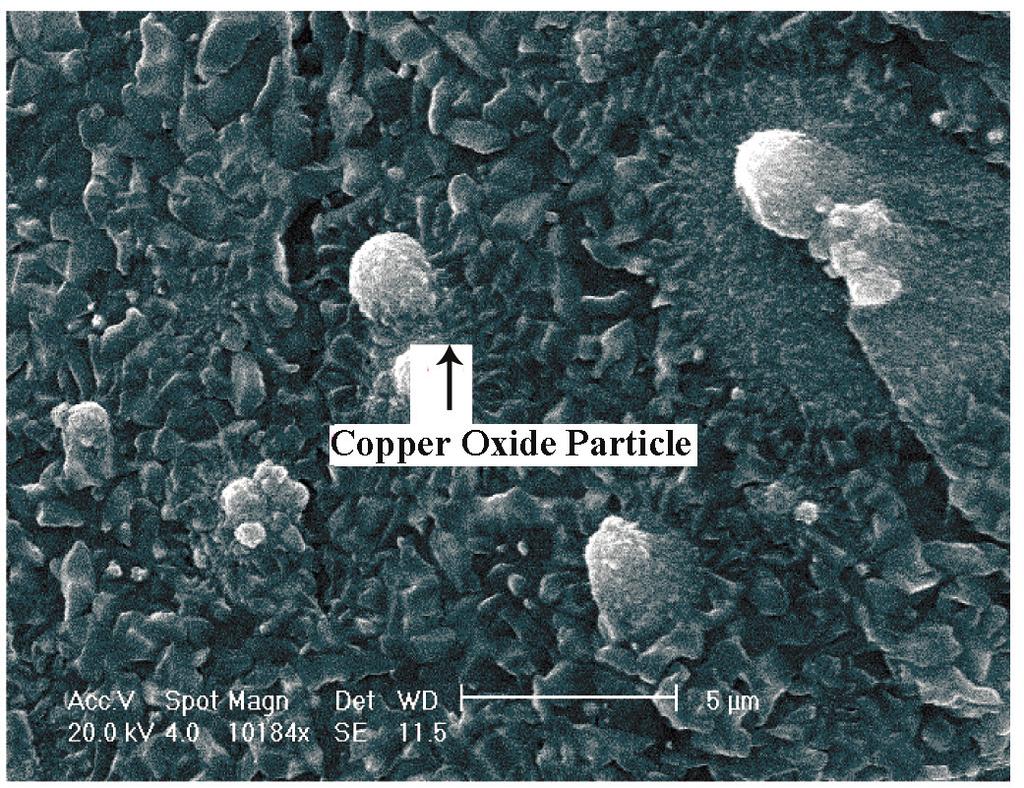 After copper nitrate is decomposed by thermal treatment, copper oxide particles are formed and then interact with SiO2 matrix via OH groups [18].
