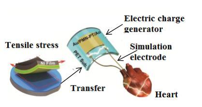29 Figure 3.1: Piezo-electric based pacemaker device [44]. 3.3 Structural condition monitoring Structural condition monitoring is another important application of vibration based energy harvesting.