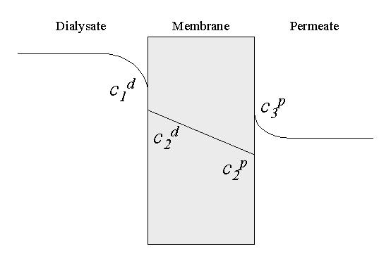 Figure 4 shows a schematic concentration profile.
