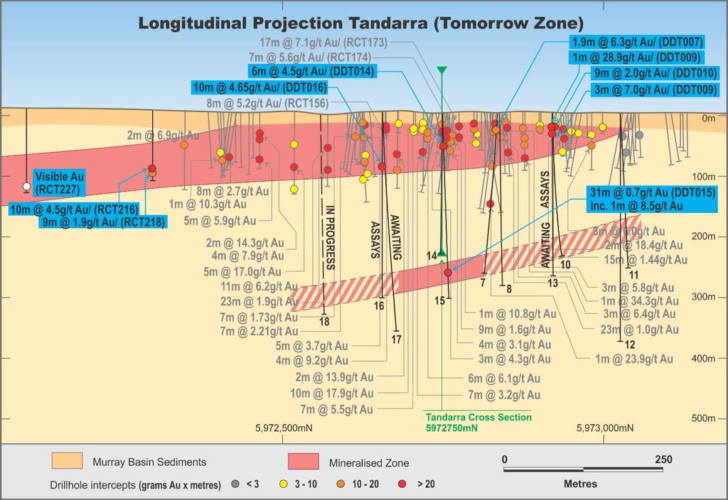 Figure 3 Tandarra Project - Longitudinal Projection of Tomorrow Zone showing Diamond