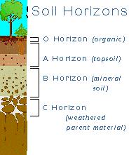 Soils Gradational Forces Soil formation: Result of a very long period of