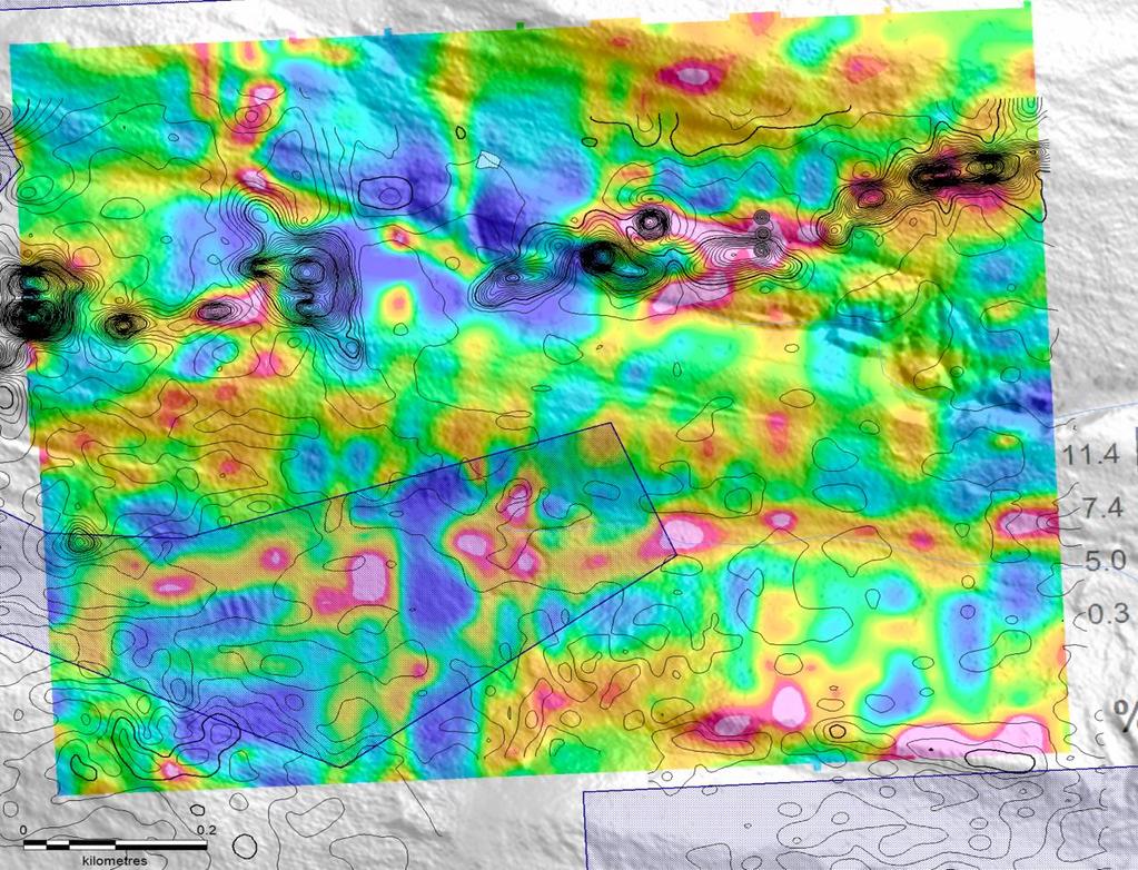 TIMANTTI VASA EM Vaasa Dykes The Vasa Dykes coincide with an EM anomaly conductor All the red zones are prospective in particular