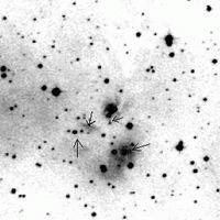 A pair of condensations with nebulous tails (8 arcsec), a very interesting object. It is associated with IRAS 11083 7618, whose star. Object 59.