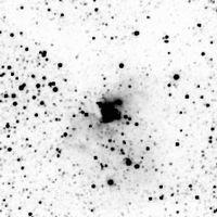 (1986) and IRAS 11082 5912, whose colors are characteristic of an embedded Object 60. An interesting nebulous object (12 arcsec) in a dark nebula.