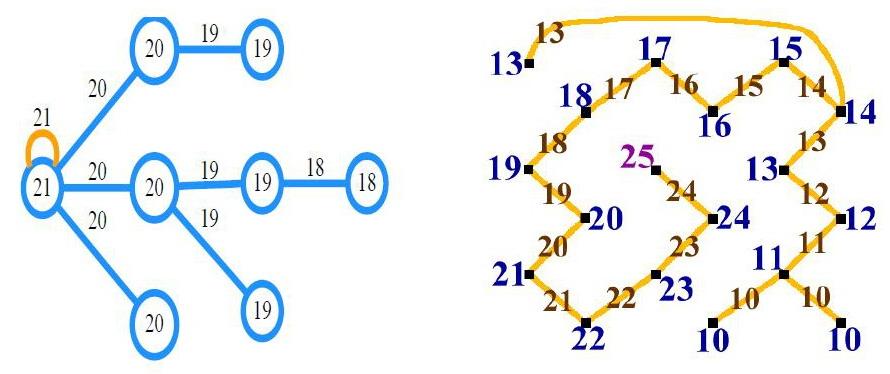 Figura 3.5. Bucla adăugată la pasul 2 la o faţă generatoare a arborelui T (fără celule critice) Figura 3.6. Funcţia Morse discretă definită pe arborele generator T din Figura 3.