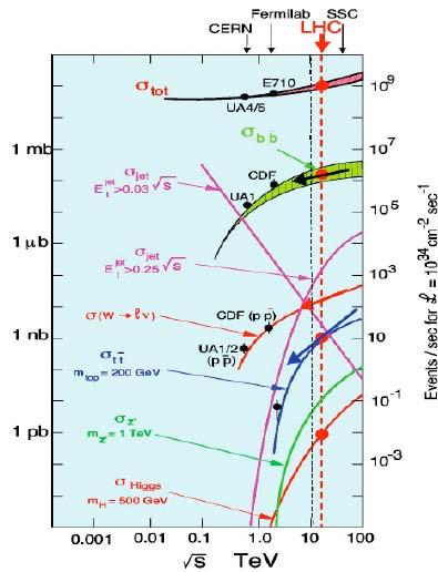 Inclusive Jet+MET Analysis Standrad Model Processes QCD W+jet (leptons) Z+jets (leptons) tt 10 10 pb 7x10 4 pb 7x10 3 pb 800 pb SUSY LM1 ~50 pb Require large MET and multi-jets to suppress the SM