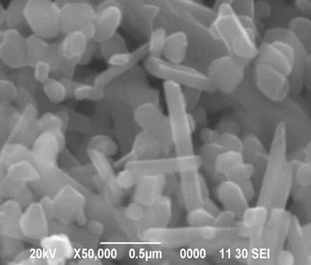 3 shows the SEM characterization result for which was calcinated in 5ºC atmospheric furnace for 1 hour.