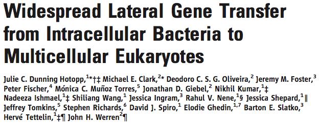 PROKARYOTE! EUKARYOTE The presence of endosymbionts Wolbachia pipientis, within some eukaryotic germlines may facilitate bacterial gene transfers to eukaryotic host genomes.