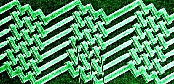 Decoherence in Topological Quantum Fluids Certain kind of spin net have very interesting topological properties, and unconventional