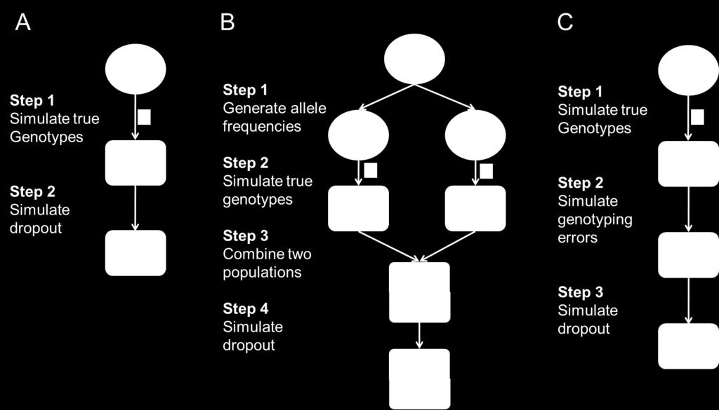 inbreeding assumption; W is the observed genotypes with allelic dropout. (A) Procedure to generate the simulated Native American data (Experiment 1).