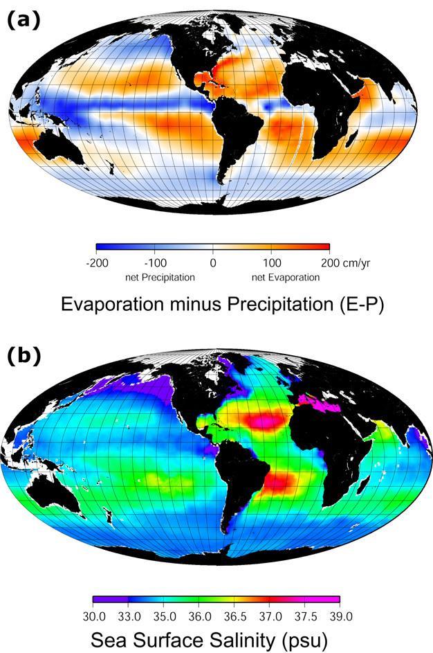 salinity of the North Pacific lower because of relatively low evaporation, little exchange with salty tropical waters, and an influx of fresh water from precipitation and river runoff Deep Atlantic