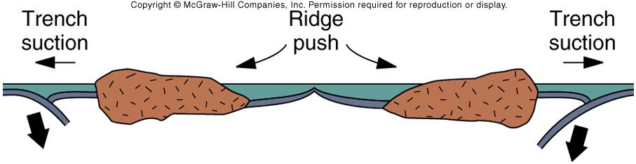 downhill from the ridge toward the subduction zone (ridge is high standing because it is