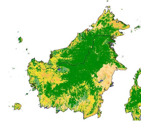 Borneo If the current rate of deforestation continues, Borneo could lose most of its lowland forests in less than ten years(wwf 2005)