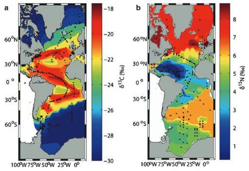Spatial Gradients in d 13 C Goal: Understand spatial variation in phytoplankton d 13 C d 13 C Graham et al.