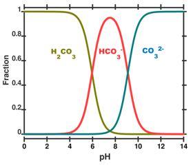 Sources of Inorganic Carbon: CO 2 vs HCO 3 Inorganic