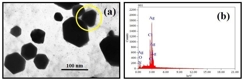 properties of the synthesised Ag nanoparticles by indigenous Xanthorrhoea glauca leaves.