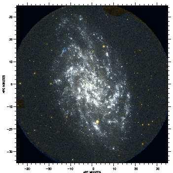 FIGURE 3. GALEX Montage of M33. A single pointing of GALEX is capable of imaging almost the entire main body of M33.