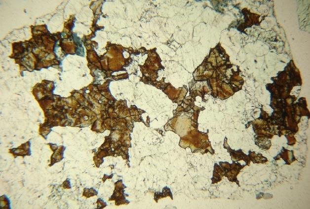 Figure 1: Mineral thin section showing coarse cassiterite (brown colours) in a matrix of quartz and topaz (light colours). Minor tourmaline is blue. The field of view is 2.8mm.