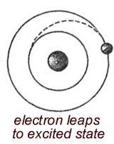 Photons + ATOMS vs Photons + MOLECULES The quantum leap of electrons: takes place WITHIN an ATOM between discrete energy