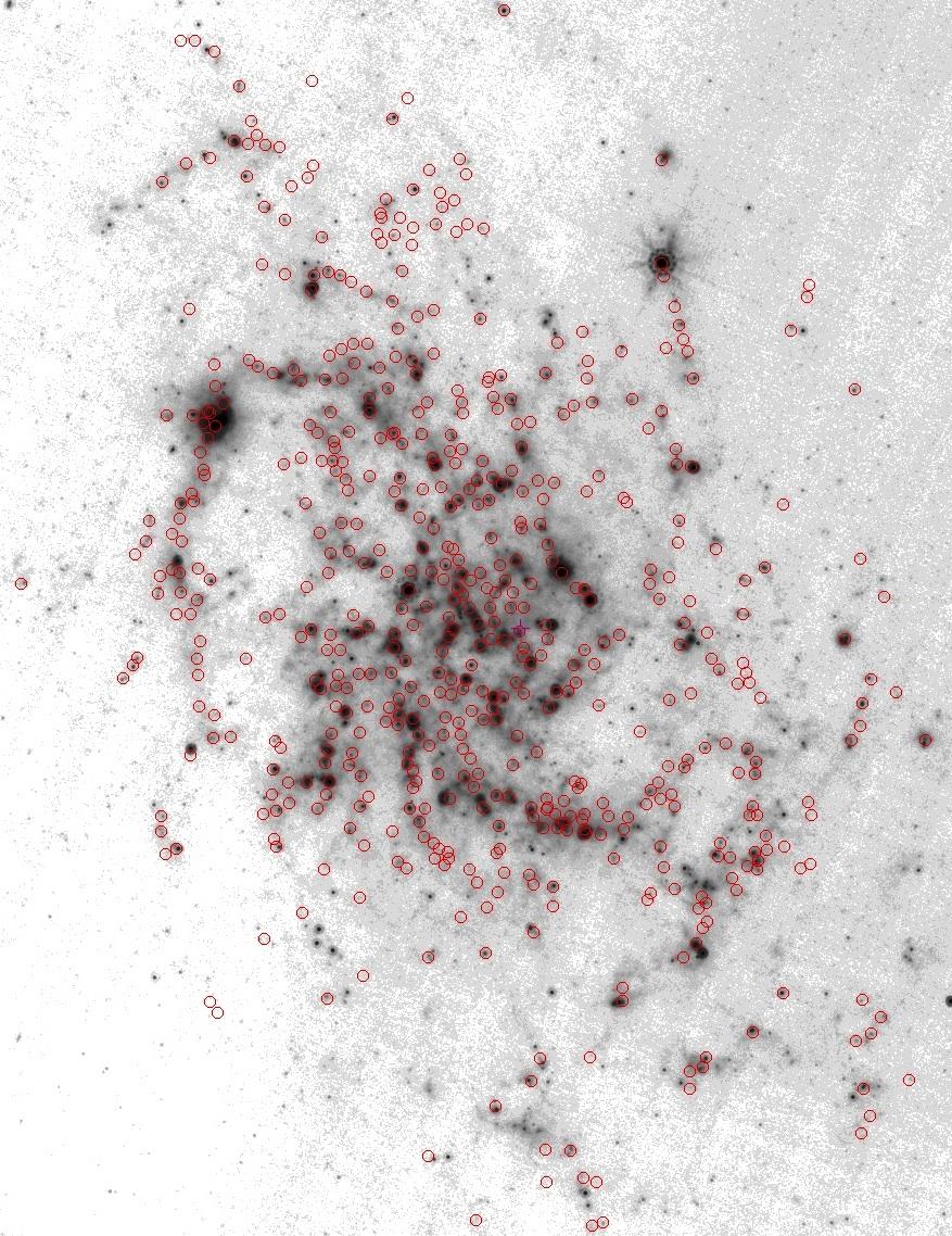 Edvige Corbelli et al.: From molecules to YSC in M33 Fig. 5. Positions of CO-clouds (red circles) over the 24 µm Spitzer map.