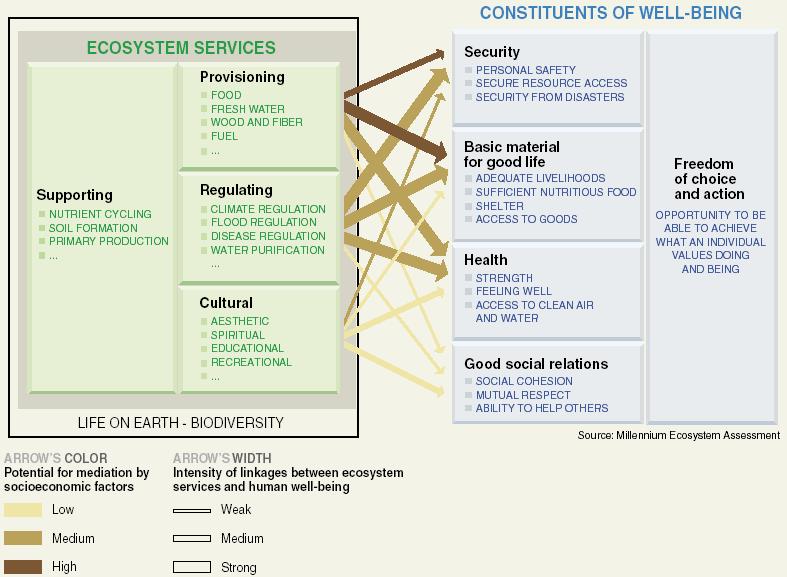 The MEA framework emphasises the connection between ecosystem services and